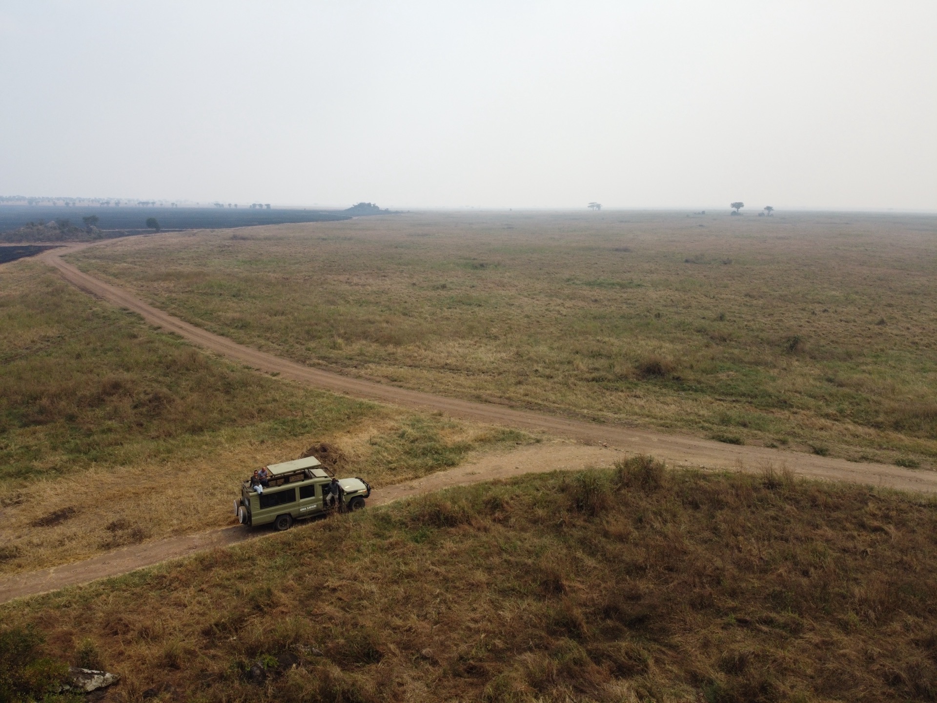 Safari jeep on open grassland with wide sky, northern Tanzania