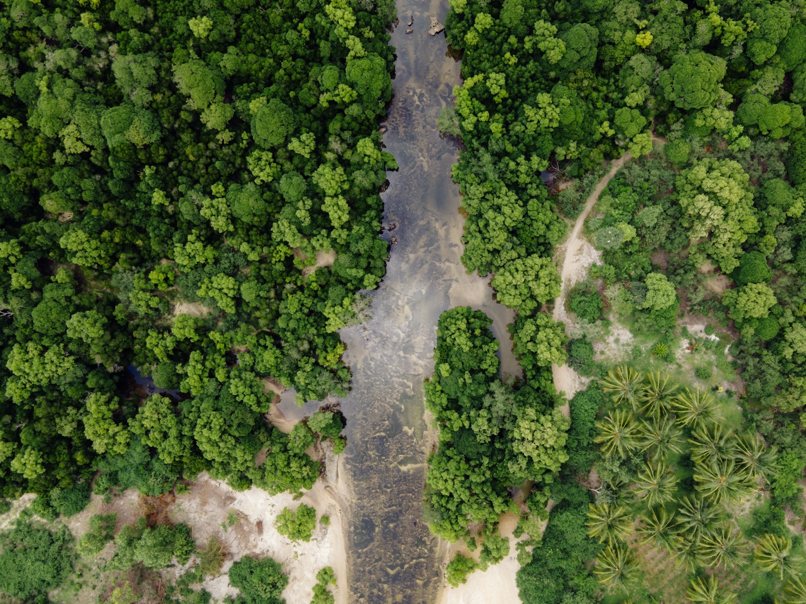 Aerial view of Zanzibar's lush green coastal landscape with mangroves and tidal channels — the Matemwe hinterland